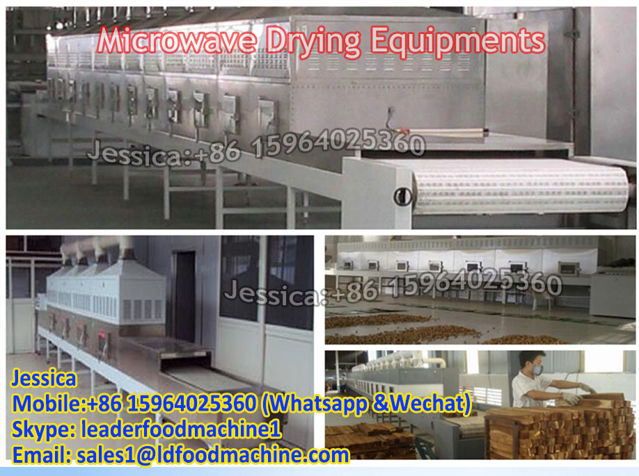 Tunnel type microwave drying and sterilizing oven for turmeric