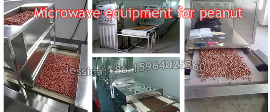 Continuous Microwave Garlic Dryer Equipment/Microwave Oven/Garlic Processing Machinery