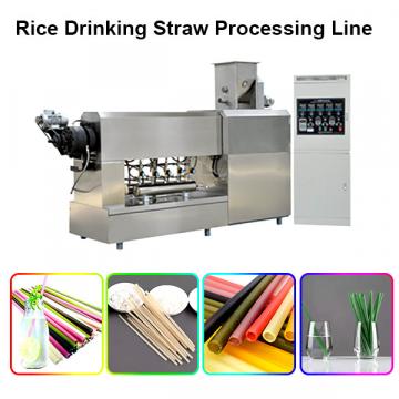 Stainless Steel Twin Screw Extruder Pasta Straw Making Machine/Rice Straw Making Machine