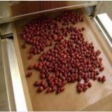 big capacity almond nuts microwave roasting equipment