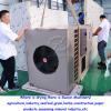 Industrial ginger drying machine/Vegetable processing machine/carrot dryer
