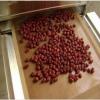 big capacity almond nuts microwave roasting equipment