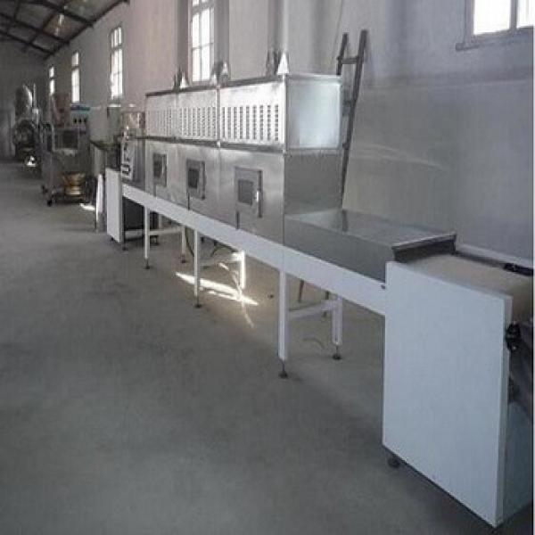 60KW microwave pistachion roasting progress equipment #1 image