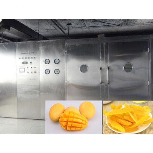 heat pump machine for mango #5 image