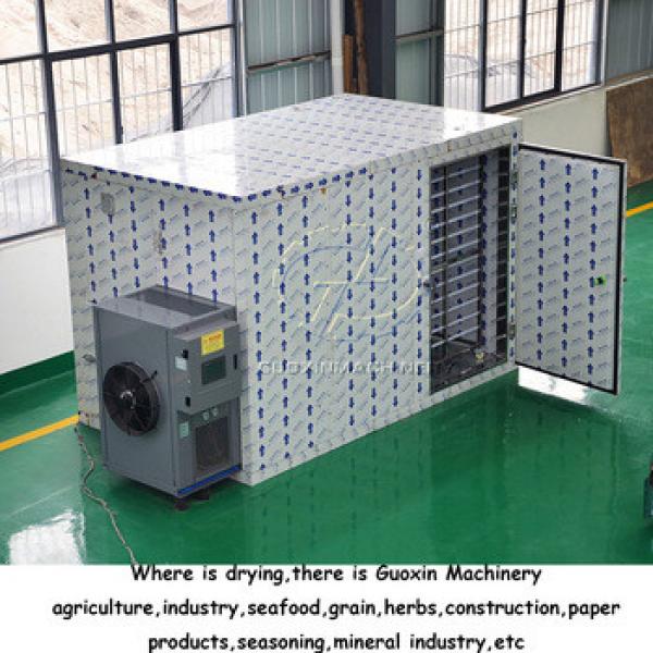 China manufacter Heat pump dryer for fruit #5 image