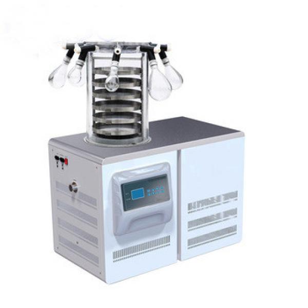 Electric Laboratory Industrial Custom Freeze Drying Equipment Prices #5 image