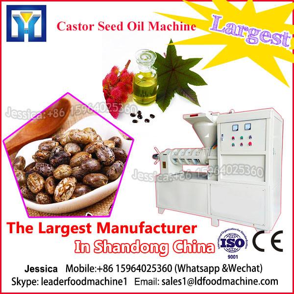 Peanut Seed Oil Expeller Machine #1 image