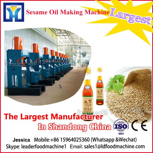 Hazelnut Oil Automatic screw press oil machine, niger seed oil making machine #1 image