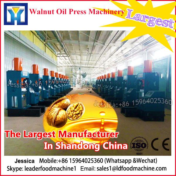 Hazelnut Oil 6YY-260 automatic walnut hydraulic oil press with CE #1 image