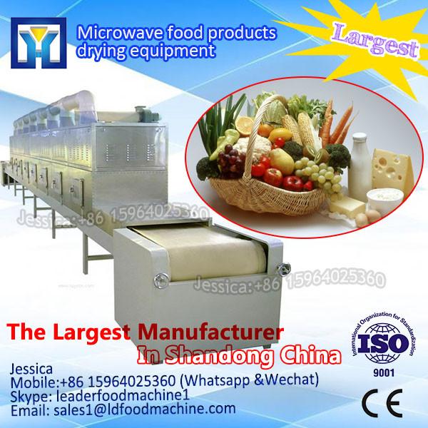 China tunnel type microwave drying fruit and vegetables machine #1 image