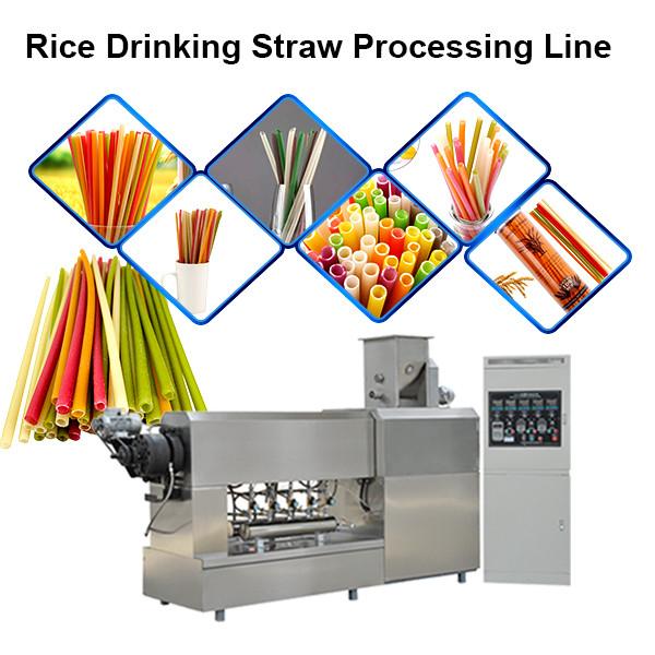 Pasta Straw Machines Making Rice Drinking Straw Machine #3 image