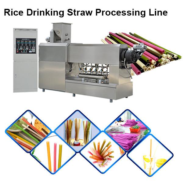 Hot Sale Rice Drinking Straw Processing Line Pasta Macaroni Straw Food Making Machine #2 image