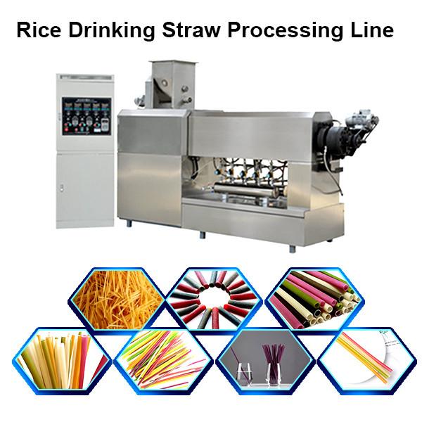 Stainless Steel Twin Screw Extruder Pasta Straw Making Machine/Rice Straw Making Machine #2 image