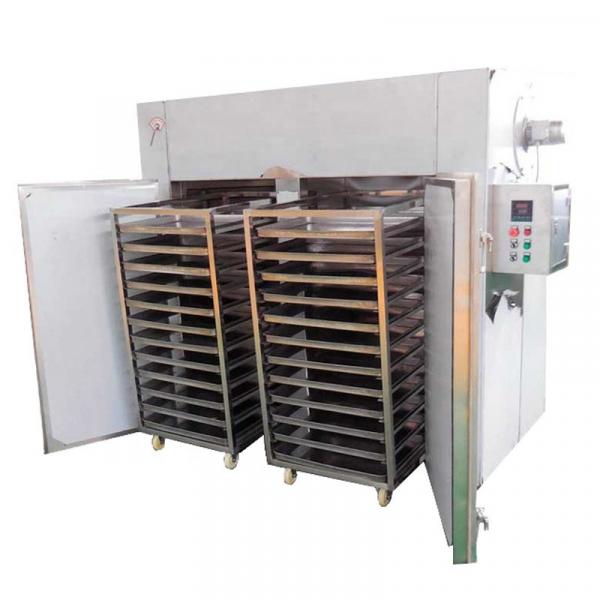 Continuous industrial tunnel drying machine onion/mushroom mesh belt dryer equipment #3 image