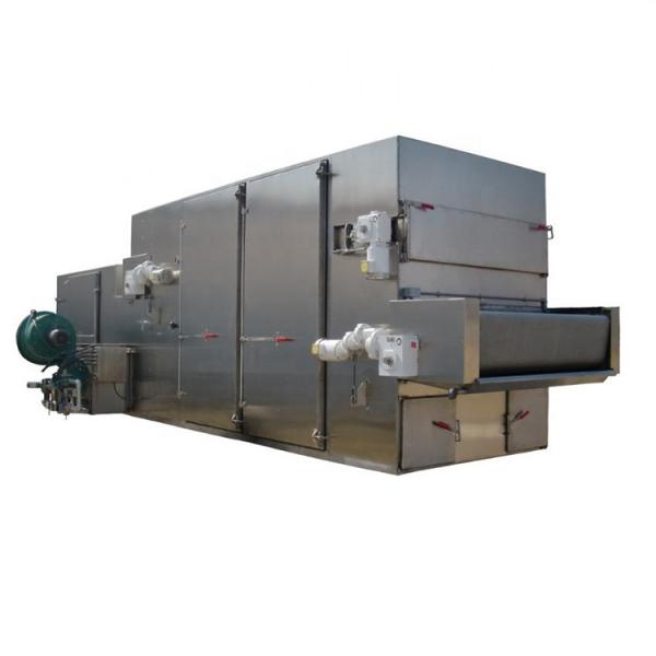Continuous industrial tunnel drying machine onion/mushroom mesh belt dryer equipment #2 image