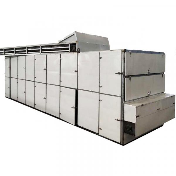 Continuous industrial tunnel drying machine onion/mushroom mesh belt dryer equipment #1 image