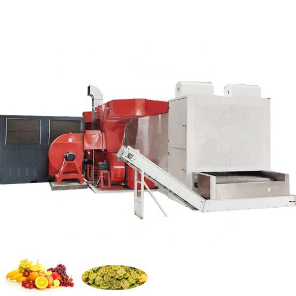 Dehydrant dryer fruit machine conveyor fruit dryer commercial fruit food dryer #2 image