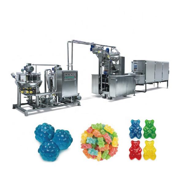 Dry Nutritional Dog Food Machine Pet Food Extrusion Machine Extruder Production Line #3 image