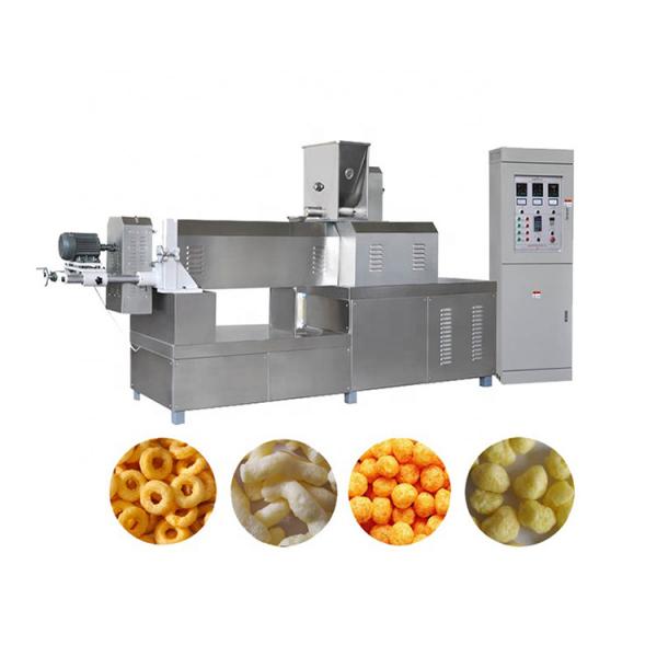 Dry Nutritional Dog Food Machine Pet Food Extrusion Machine Extruder Production Line #1 image